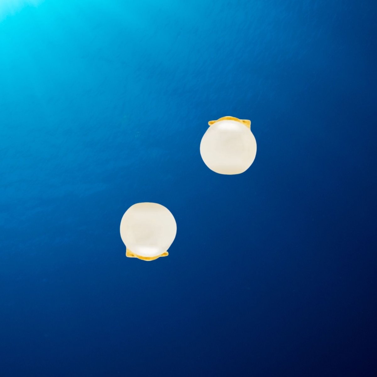 14k Gold Freshwater Pearl Stud Earrings - Small - The Celtic Gift Store - Earrings