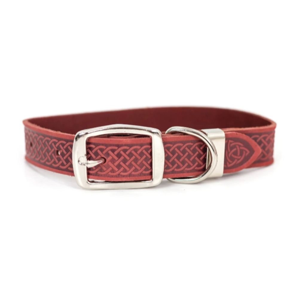 Celtic Leather Dog Collar - The Celtic Gift Store - Pet Supplies