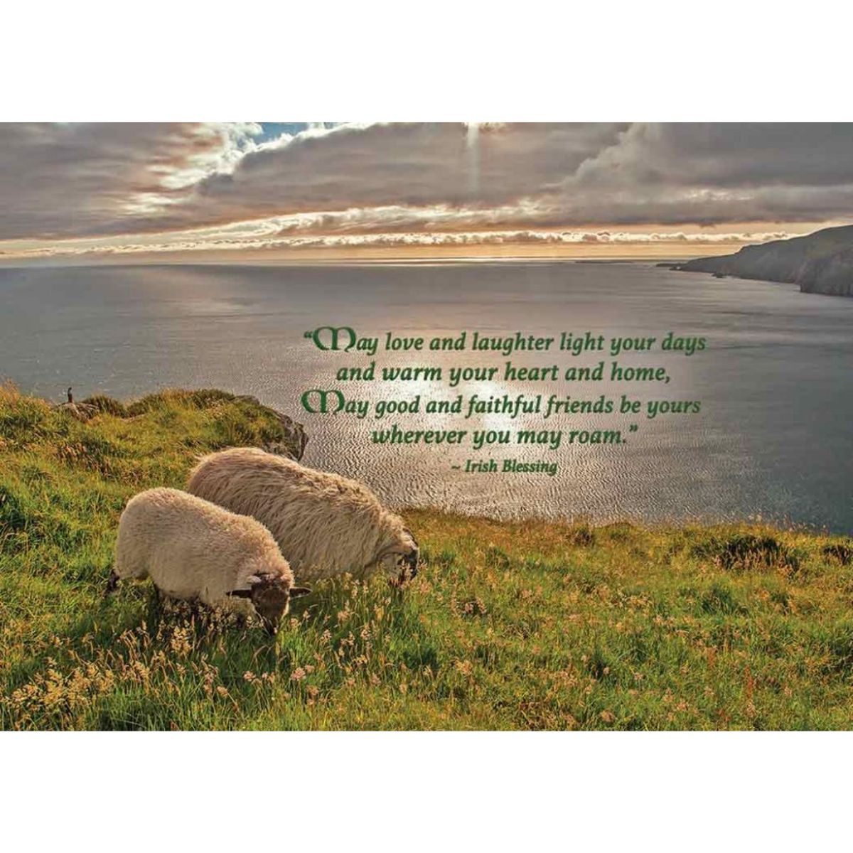Coastal Sheep Thank You Friend Card - Irish Blessing