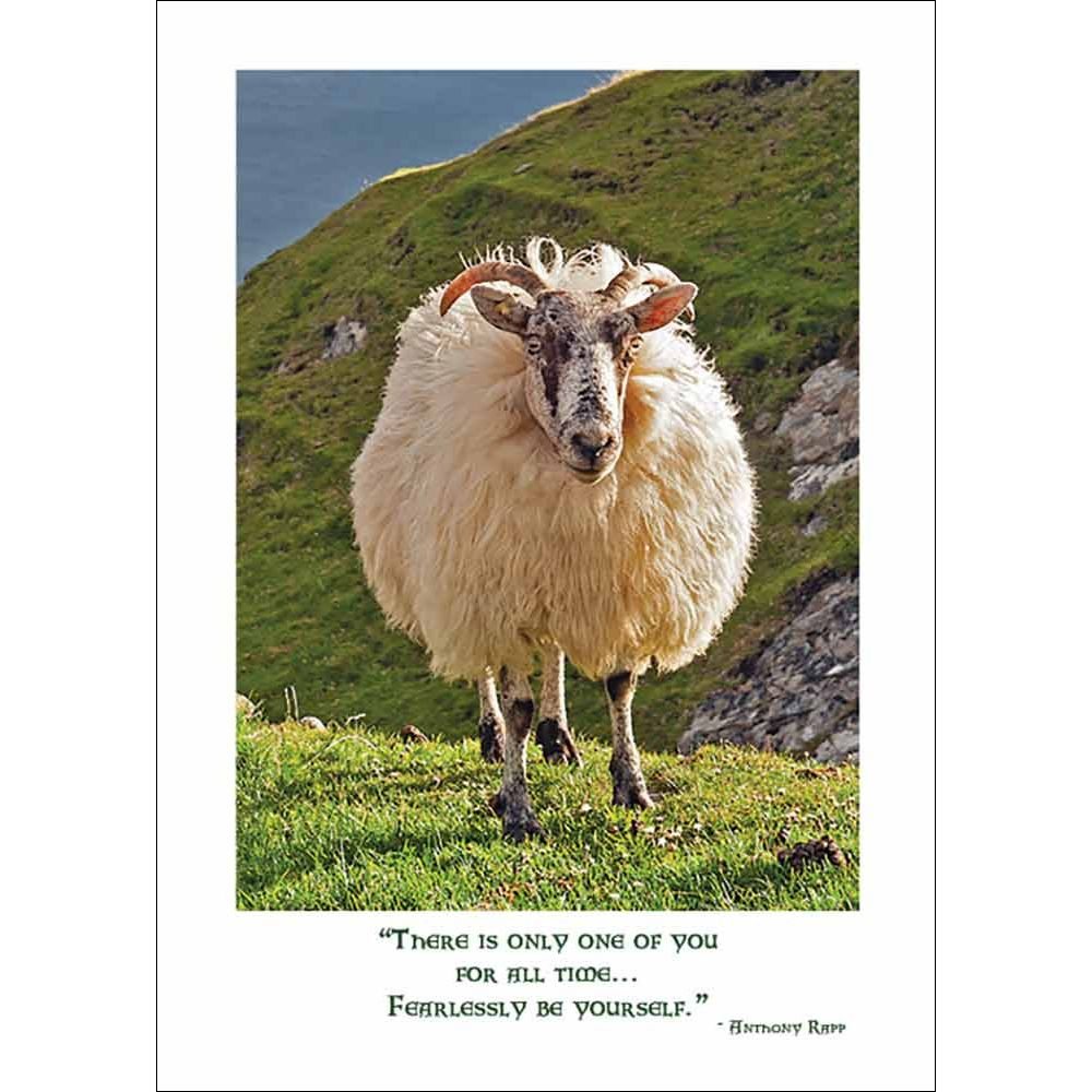 Donegal Sheep Birthday Card - Anthony Rapp Quote