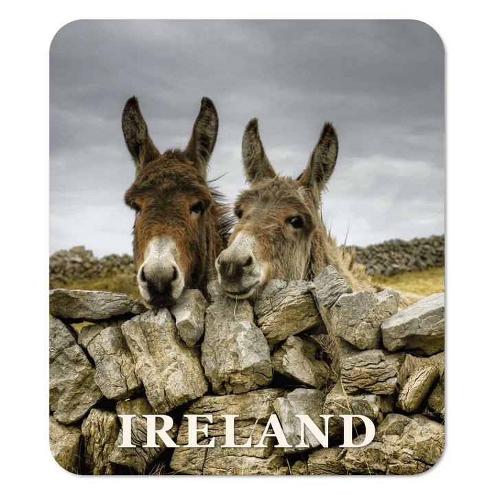 Donkeys Single Coaster - The Celtic Gift Store - Decor