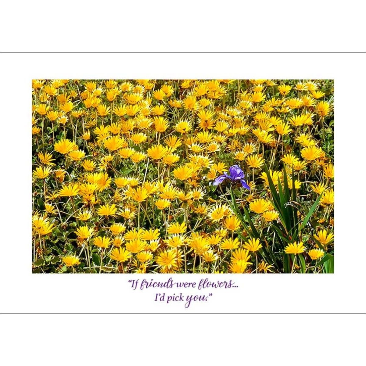 Floral Friendship Card - Blank Interior