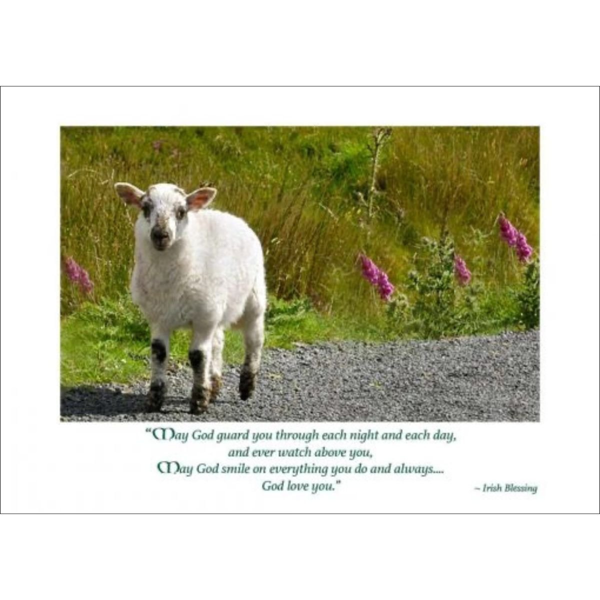 Irish Lamb New Baby Congratulations Card - Irish Blessing