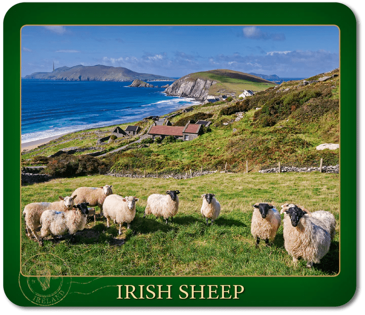 Irish Sheep Single Coaster - The Celtic Gift Store - Decor