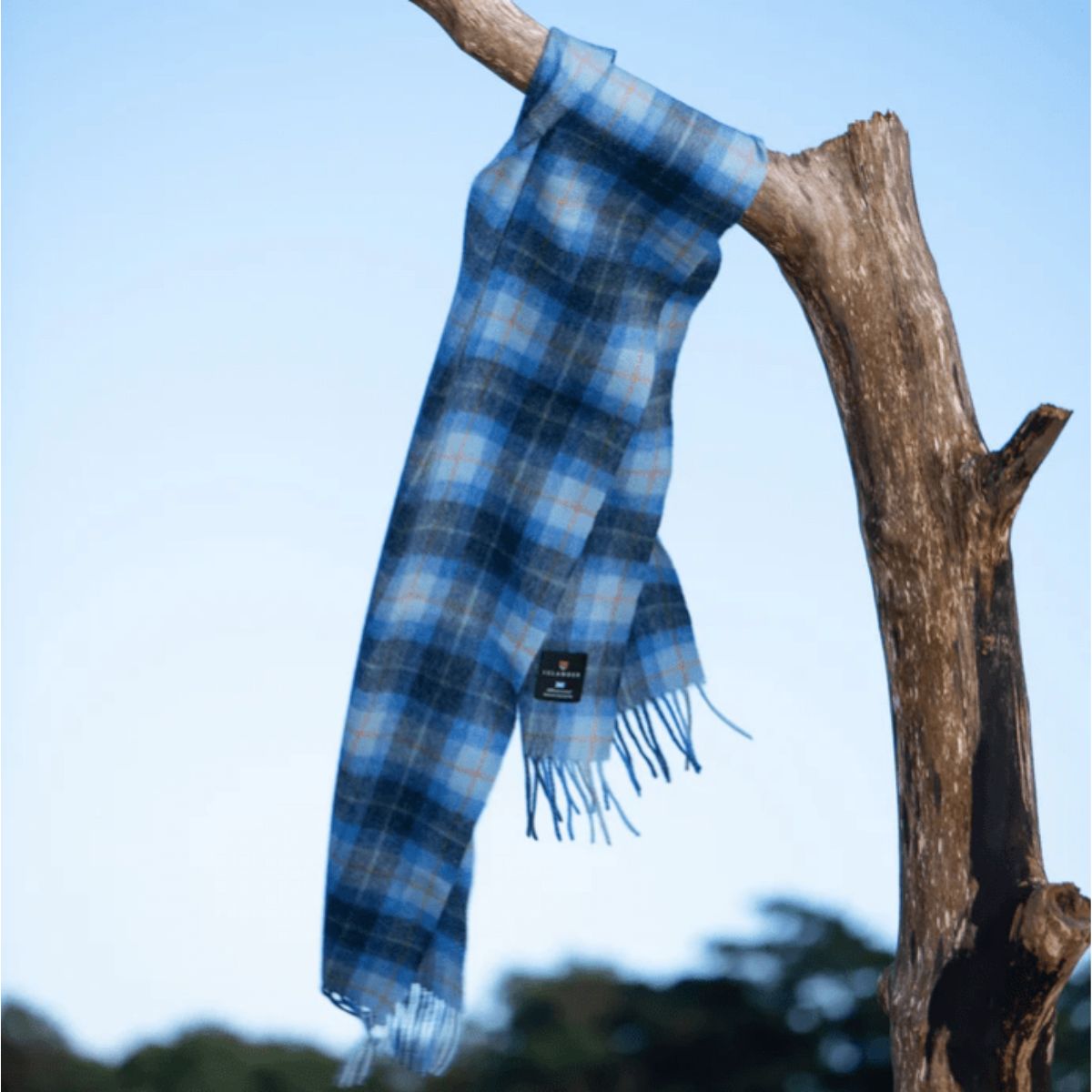 Islander Lambswool Scarf - Blue Tartan