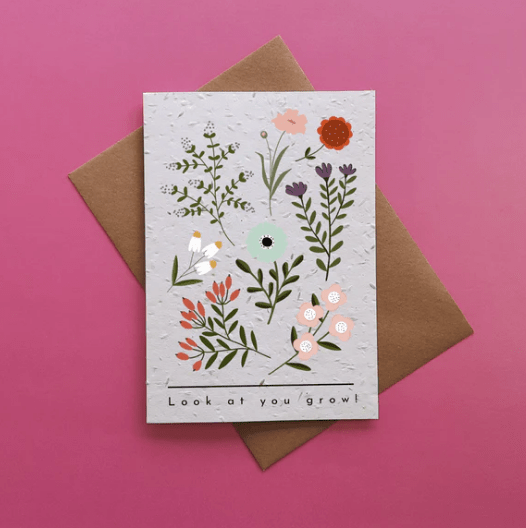 Look At You Grow - Plantable Seed Card - The Celtic Gift Store - Gift Option