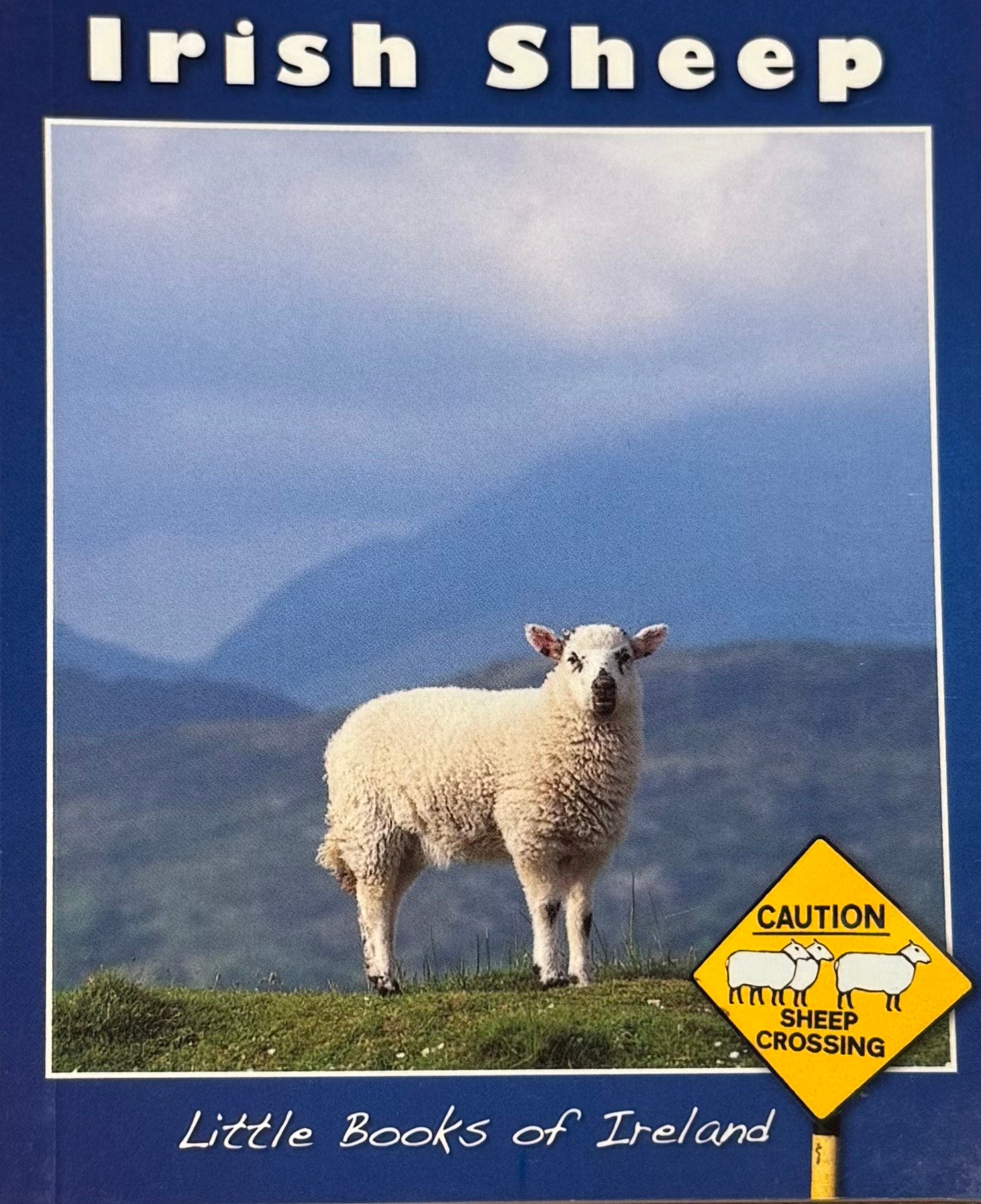 Mini Book - Irish Sheep - The Celtic Gift Store - Books