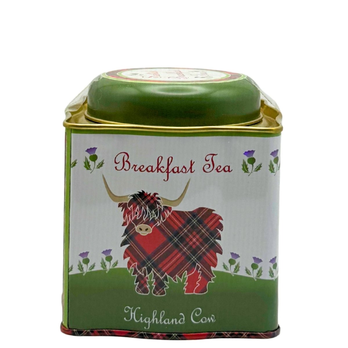 Scottish Highland Cow Tin Scottish Breakfast Tea (50 Teabags)