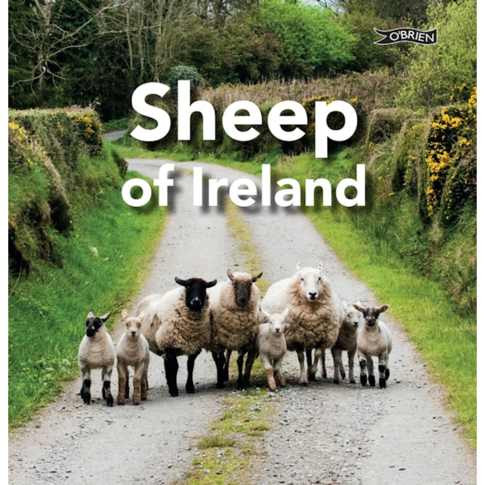 Sheep of Ireland - The Celtic Gift Store - Books