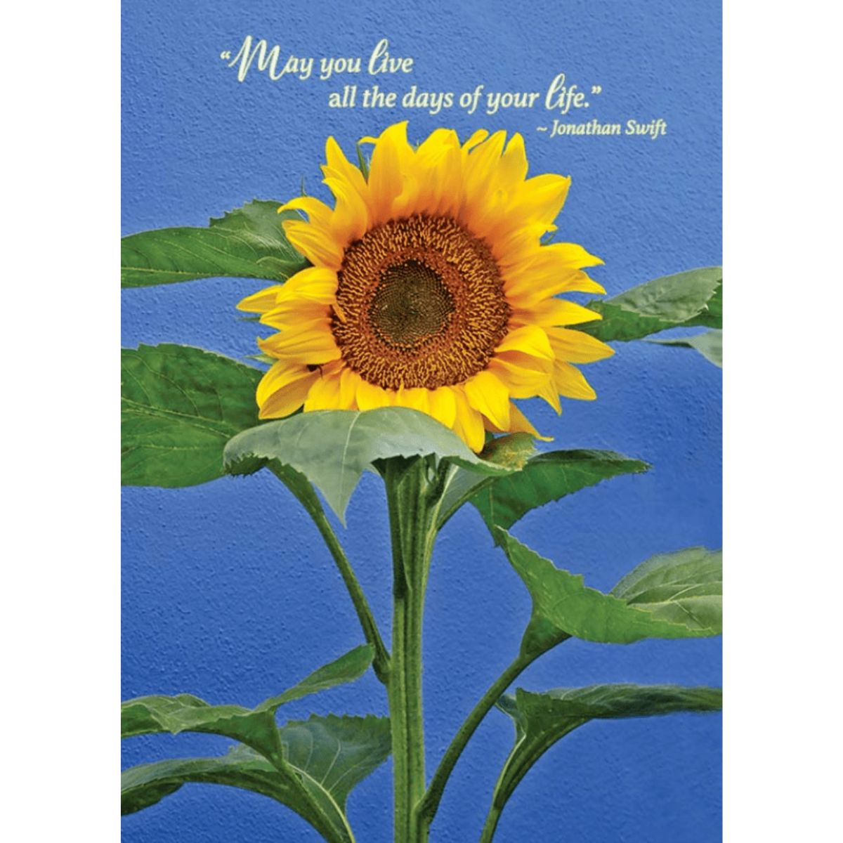 Sunflower Birthday Card - Jonathan Swift Quote