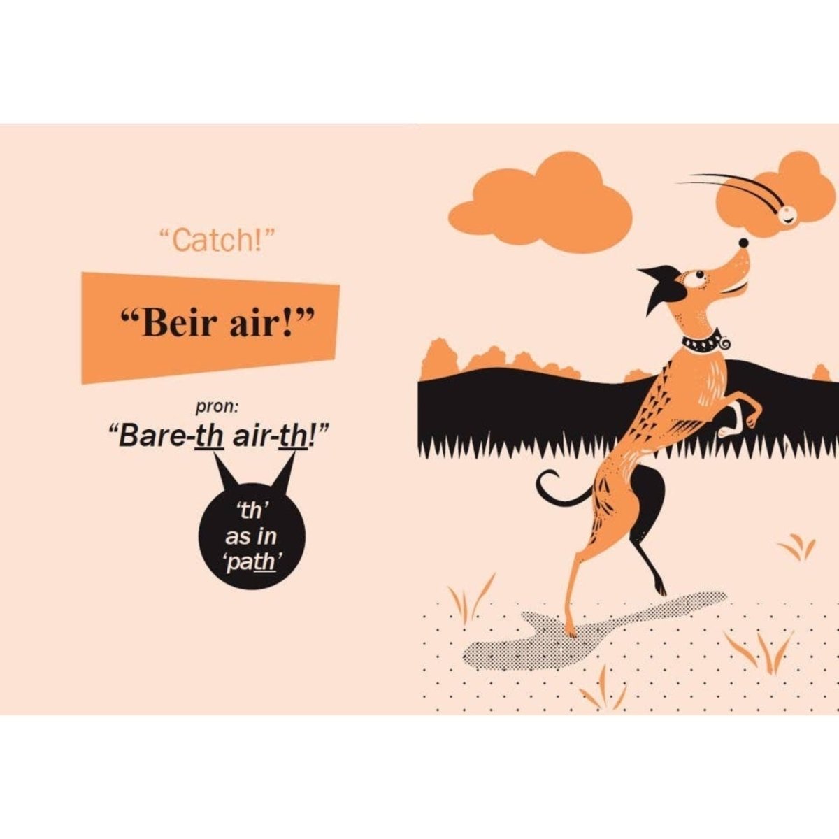 Teach Your Dog Gaelic Book