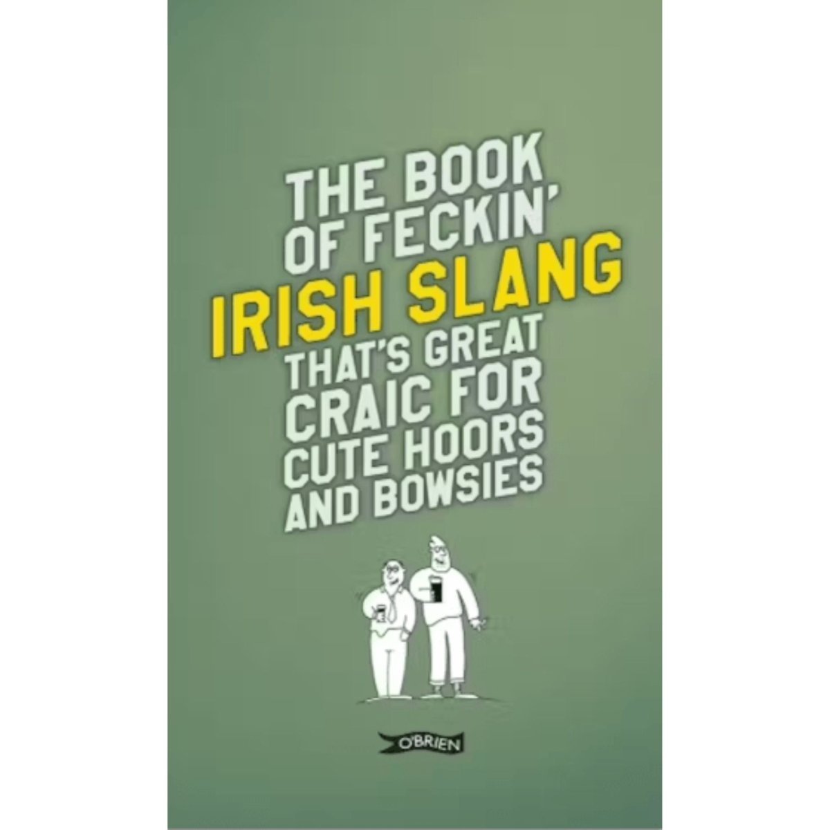 The Book of Feckin' Irish Slang
