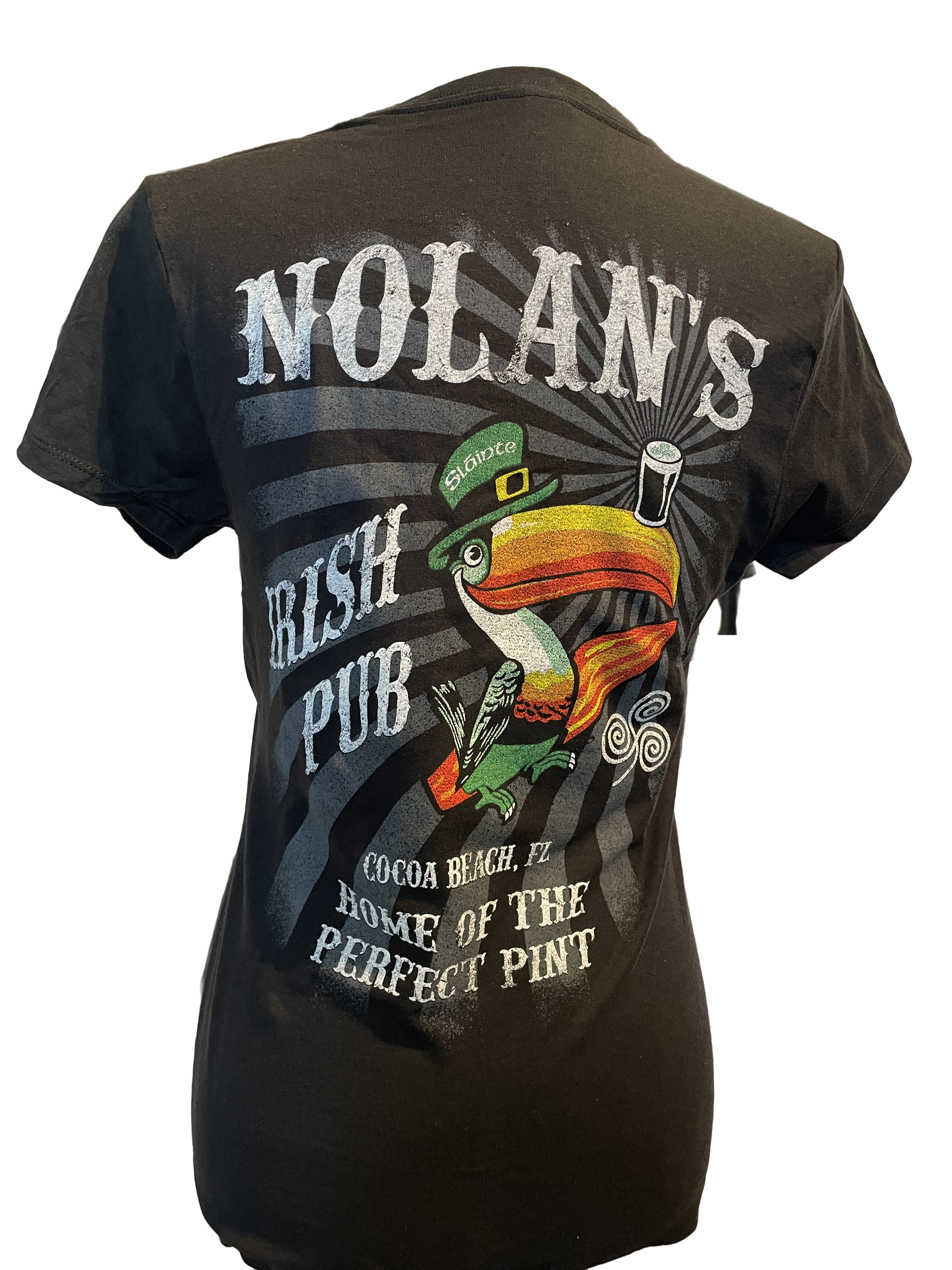 Nolan's Ladies Toucan W/ Background - V Neck